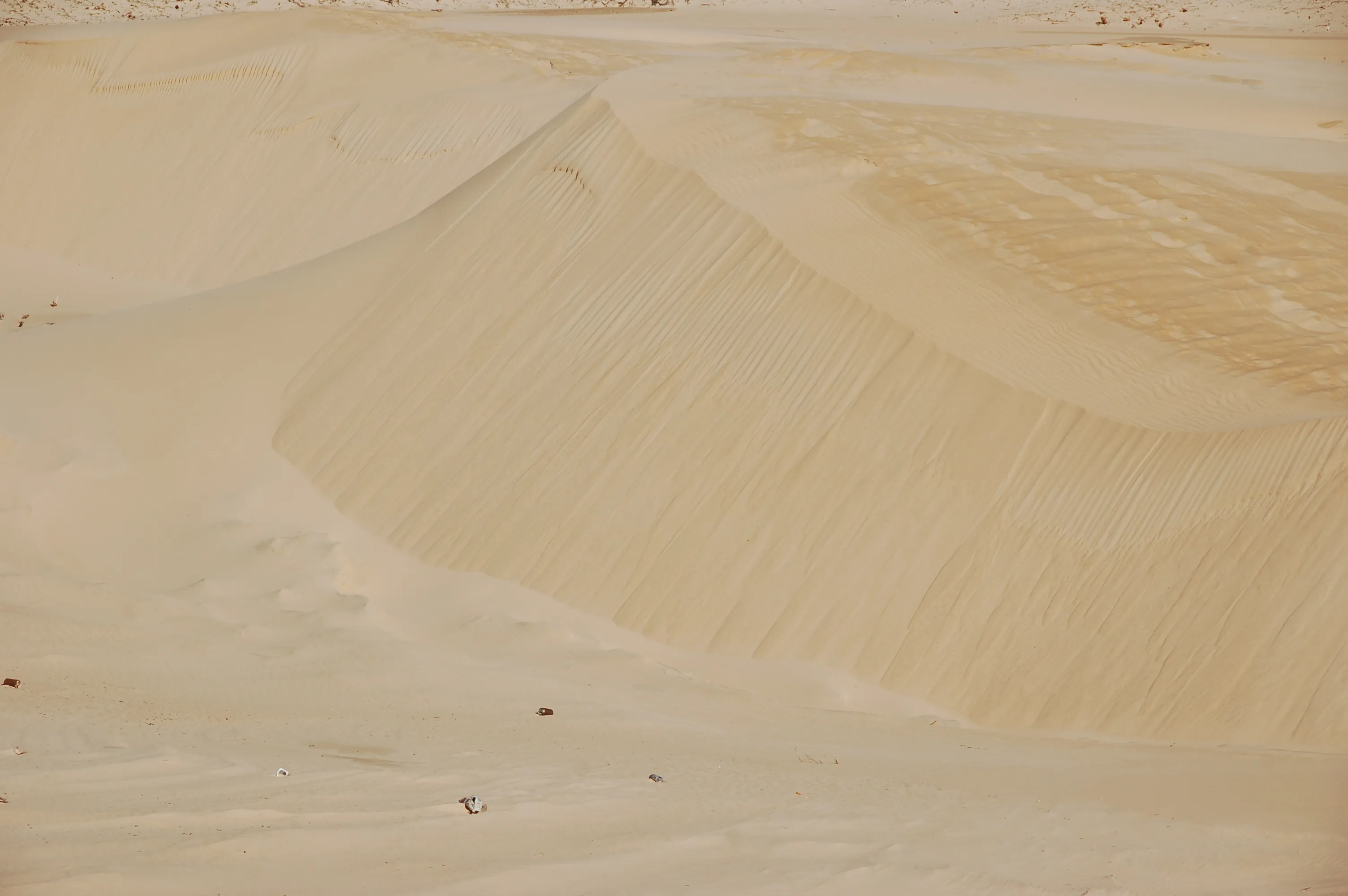 The great sand dune at Bolonia